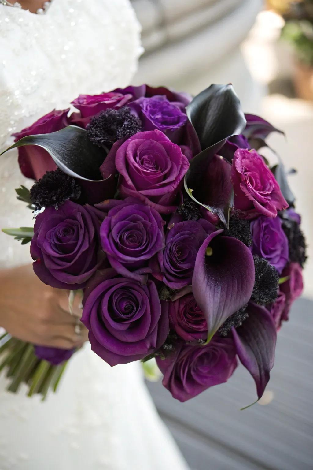 An exquisite arrangement of intense violet roses and onyx calla lilies.
