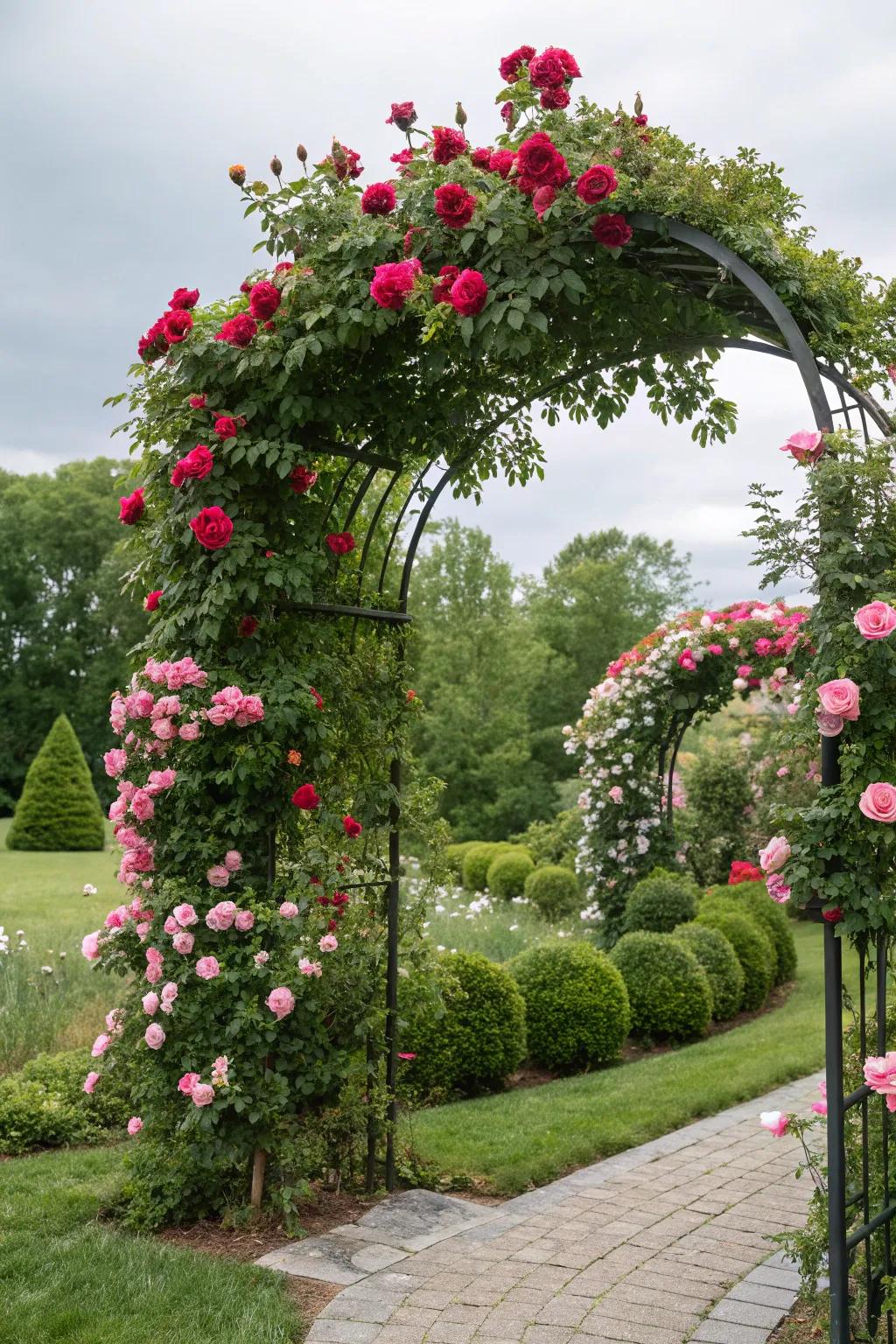 Elevate your garden with an arch draped in roses.