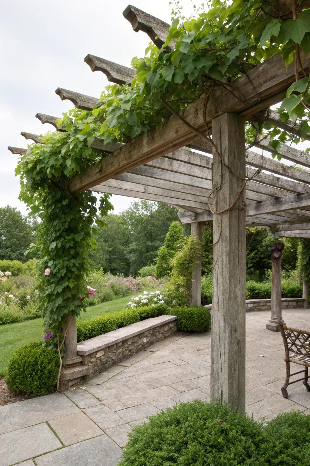 A vine-covered pergola creates a naturally shaded and enchanting retreat.