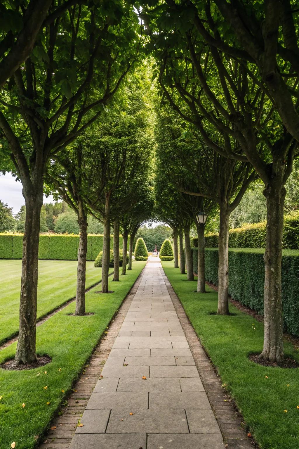 Construct a magnificent entryway with evenly spaced tree-lined paths.