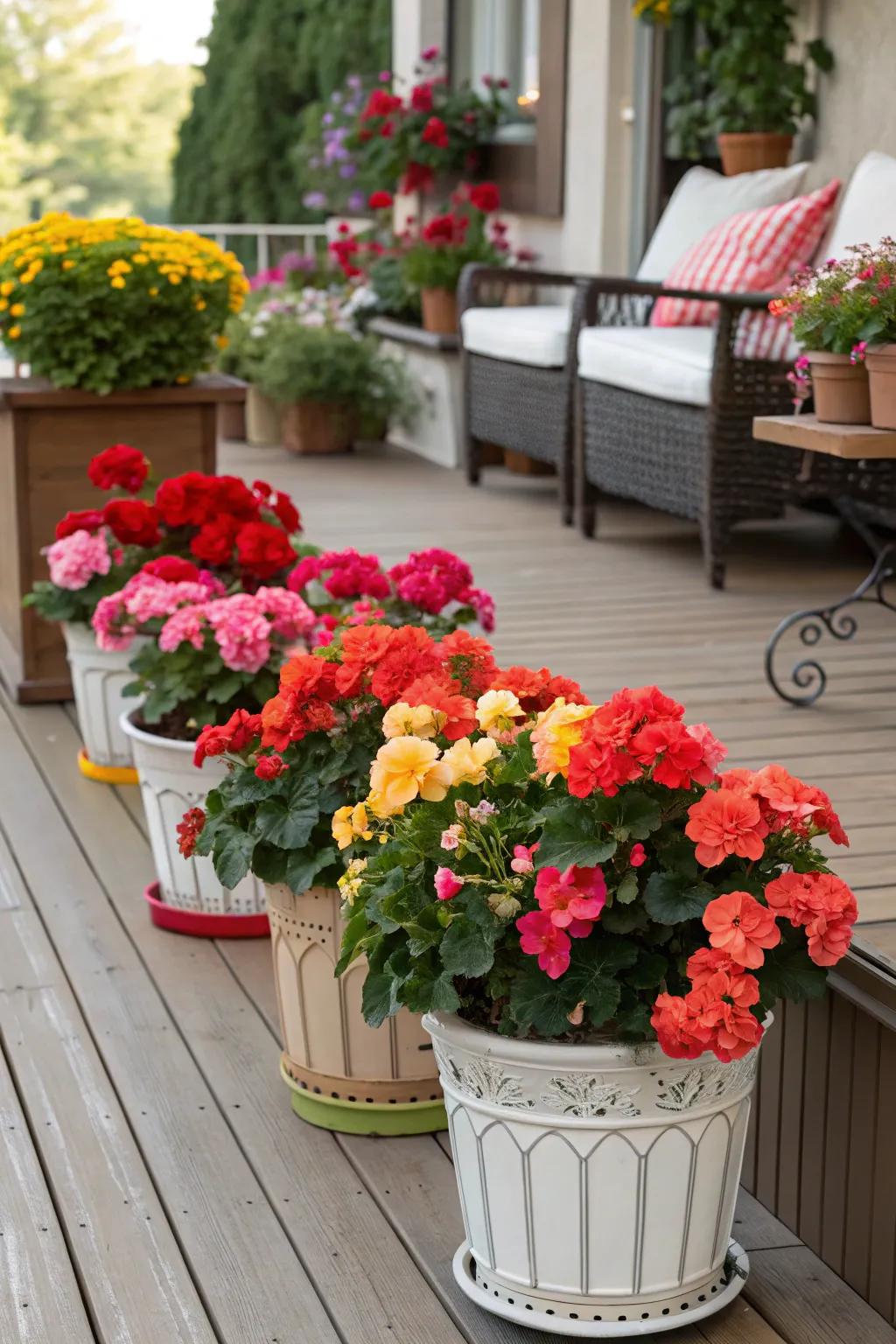 Container plants introduce color and adaptability to outdoor areas.