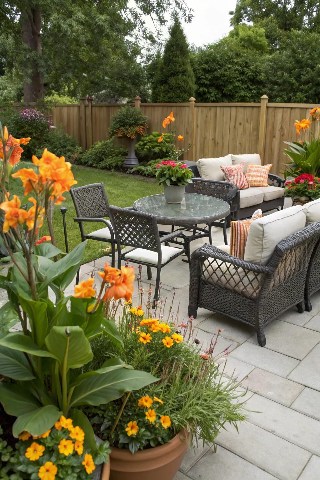Add attraction to your patio using canna lilies in containers.