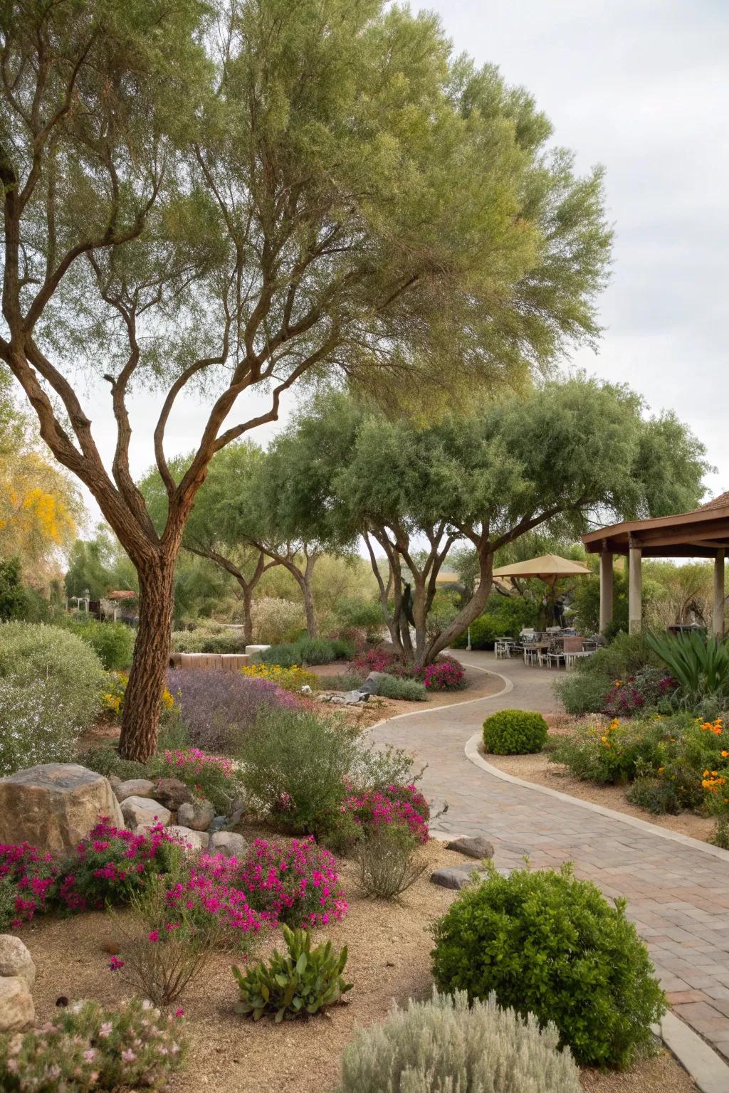 Trees optimized for water efficiency present allure and practicality while using minimal water.