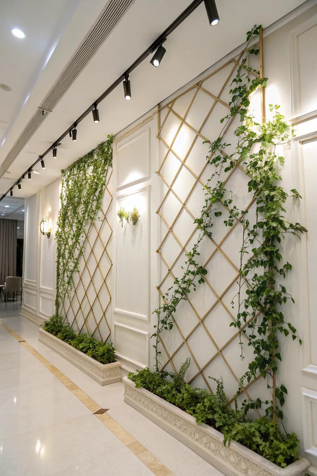 An indoor greenery support feature introducing structure and sophistication to the area.