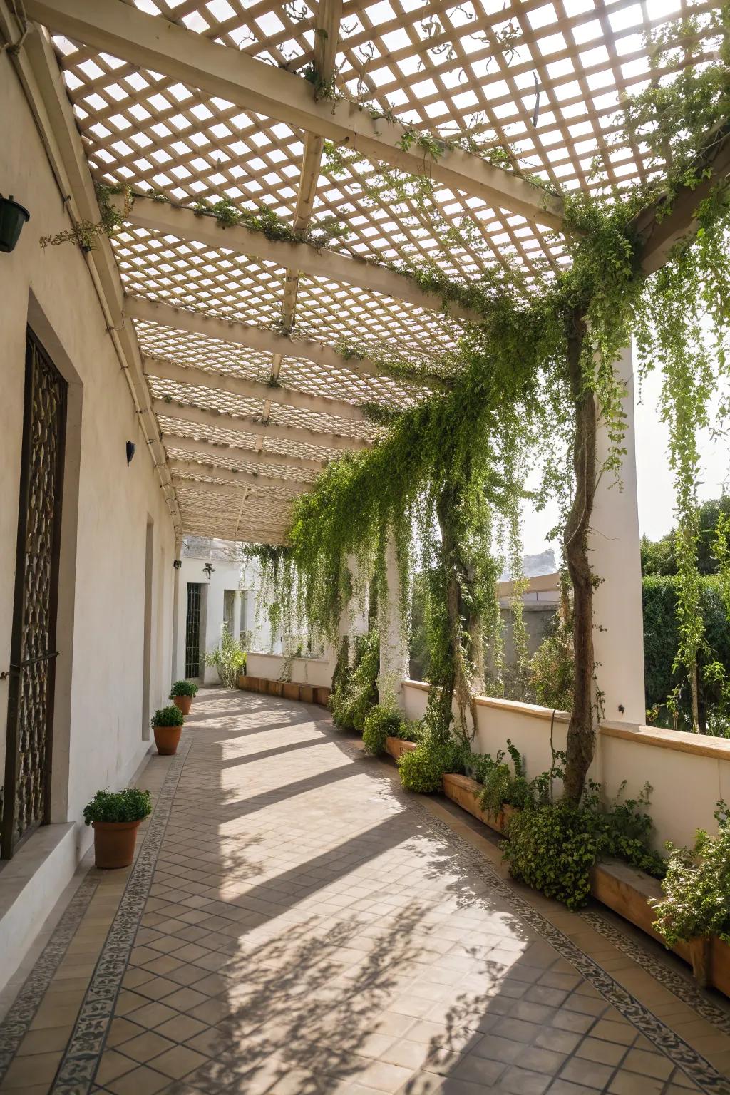 A weave overhead imparts charm and a fragment of nature to your patio.