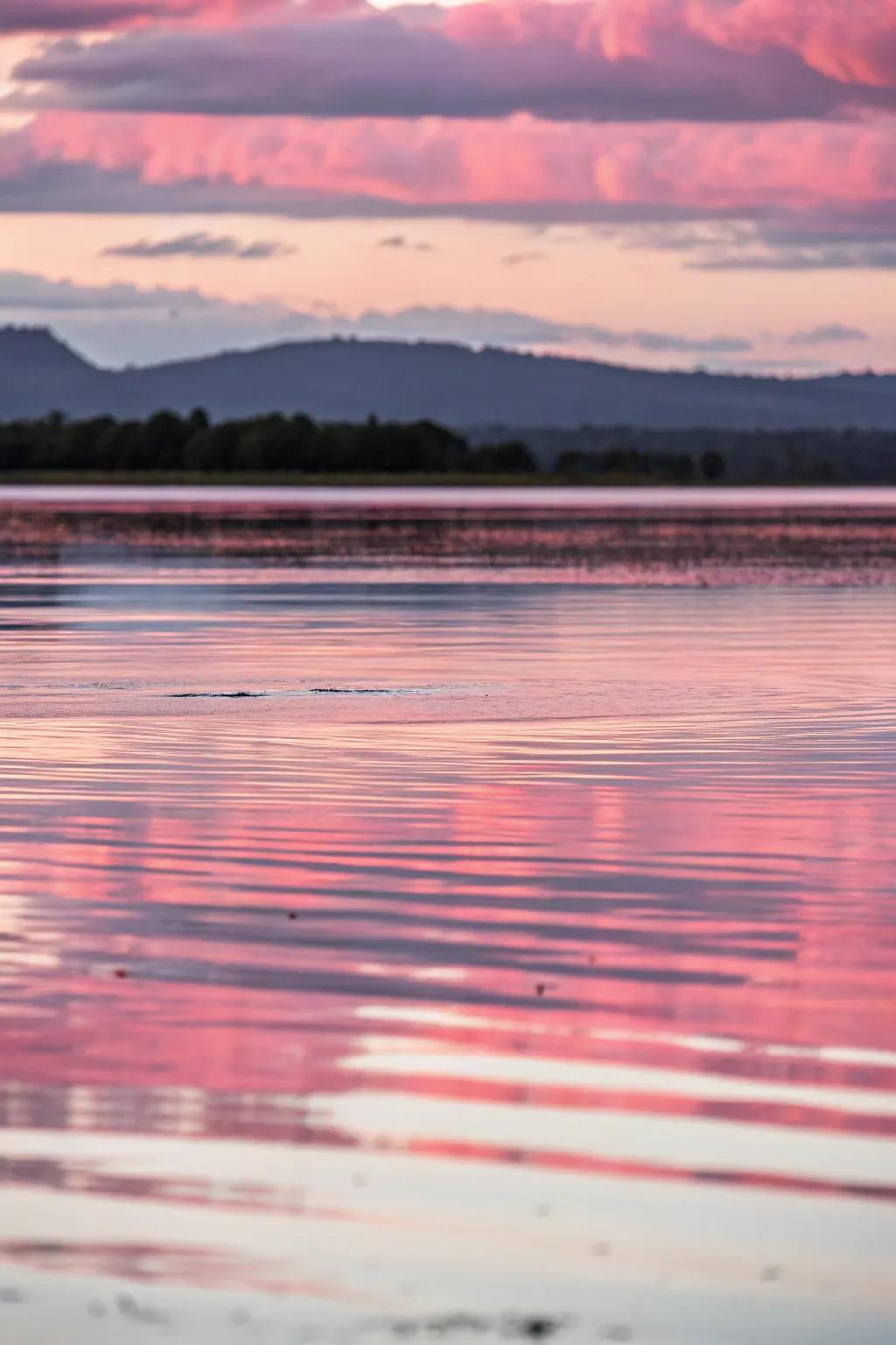 Tranquil illustration of the rouge reflection from the water.