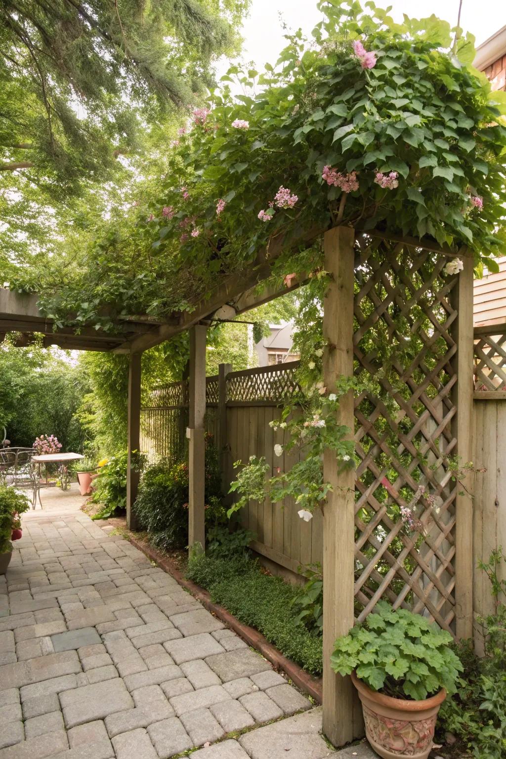 Trellis structures support climbing plants and bring vertical interest.