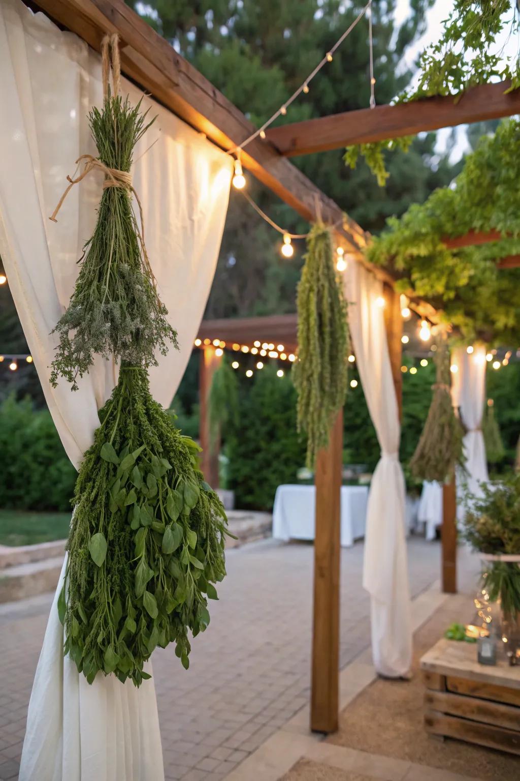 A fragrant sukkah adorned with suspended bundles of fresh herbs.