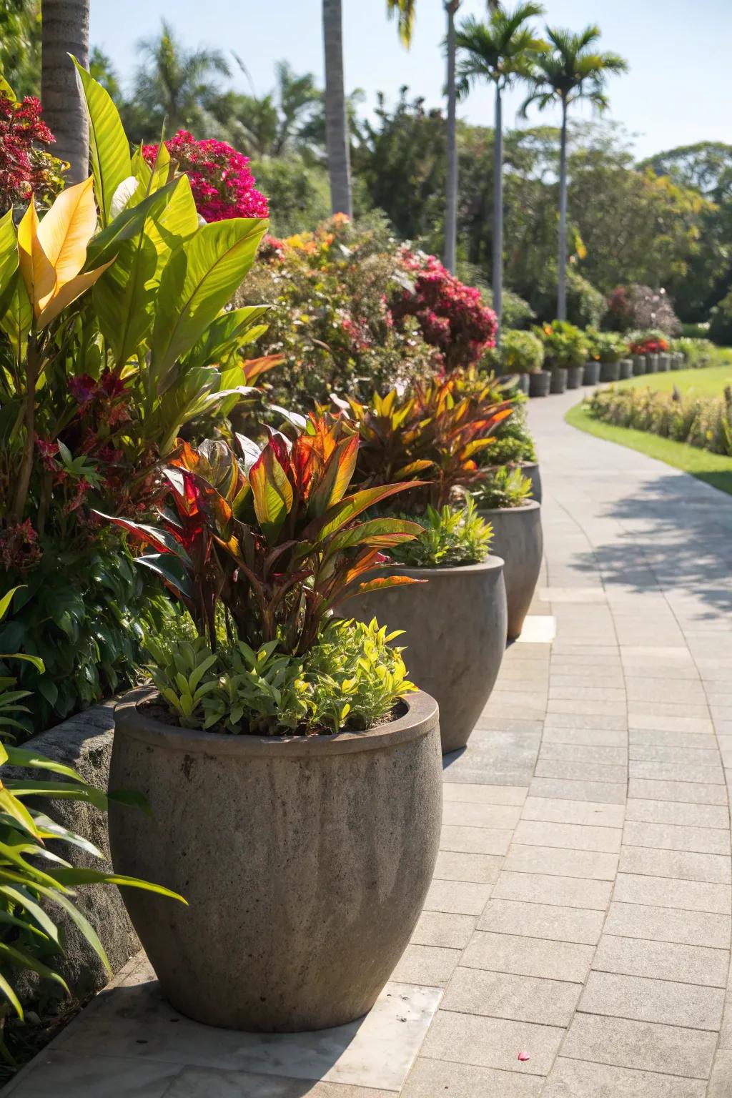 Oversized containers overflowing with lush tropical plants.