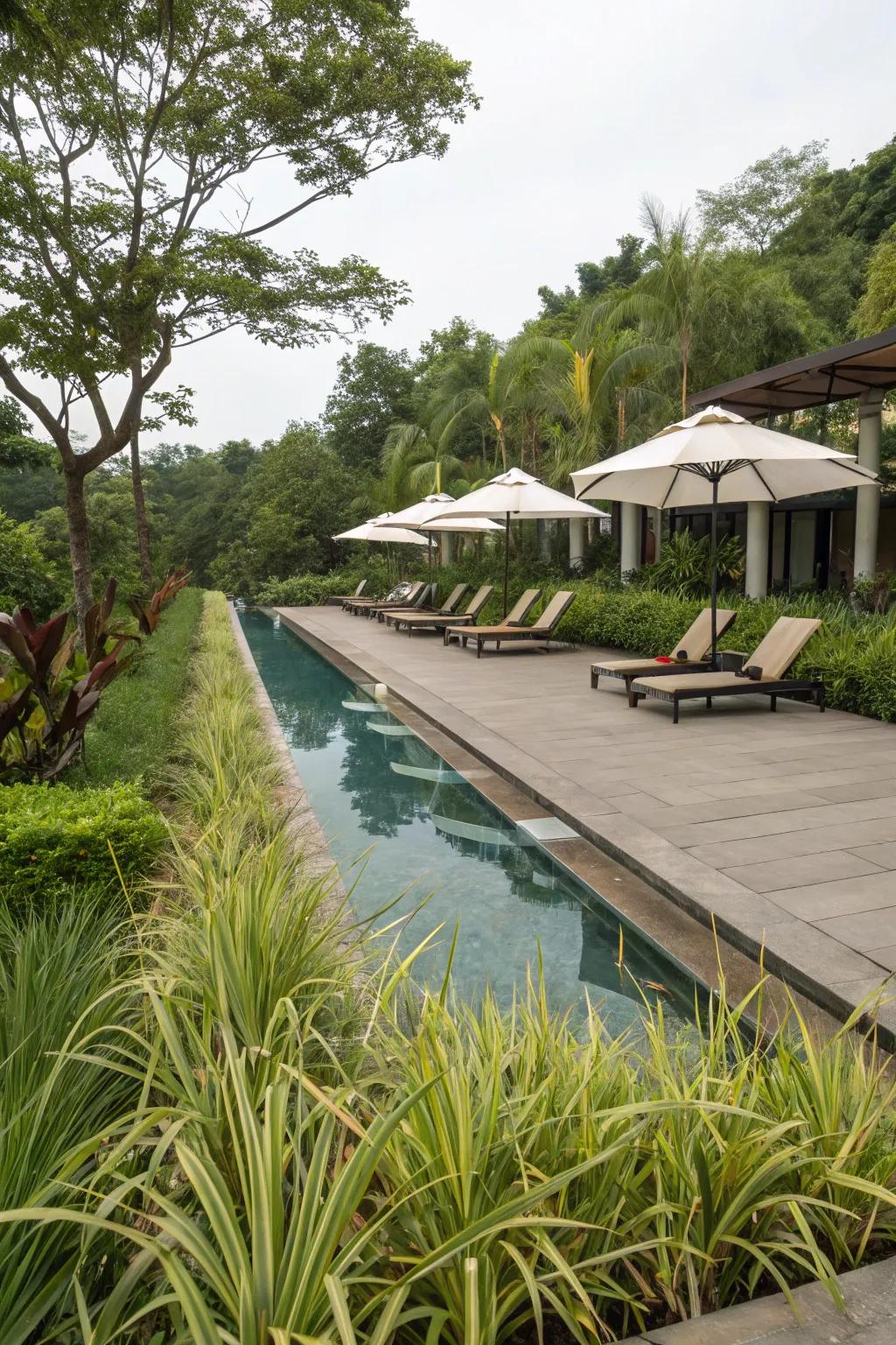 A poolside paradise framed by the verdant beauty of liriope.