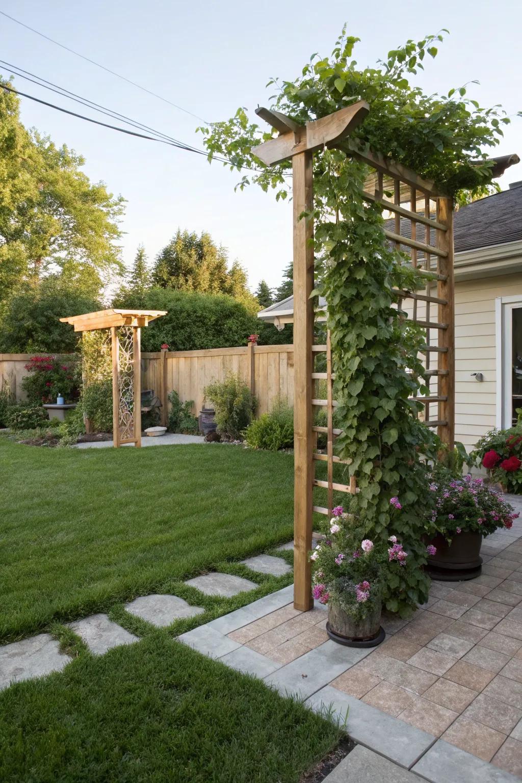 A timber trellis accompanied by climbing flora, injecting height and visual fascination.