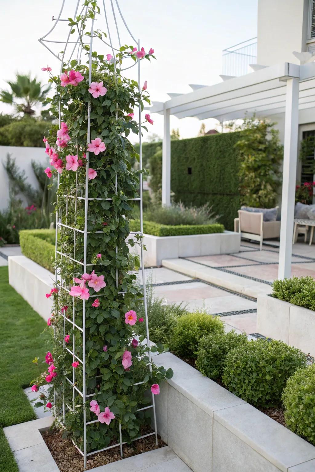 A refined wire trellis provides contemporary support for <strong><em>Dipladenia splendens</em></strong> in a minimalist garden.” loading=”lazy” class=”pimg”>
	</picture><figcaption>A refined wire trellis provides contemporary support for <strong><em>Dipladenia splendens</em></strong> in a minimalist garden.</figcaption></figure>
<p>A minimalist wire trellis offers a refined and contemporary support for <strong><em>Dipladenia splendens</em></strong>, suitable for contemporary gardens. It resembles the plant floating mid-air, an appearance that’s both subtle and artistic.</p>
<h3>Possibly handy products:</h3>
<ul class=