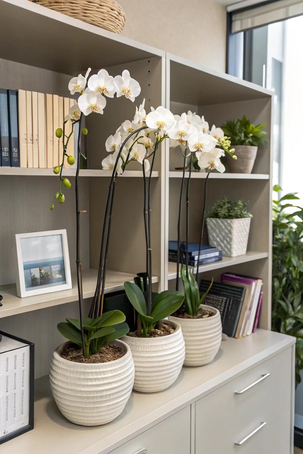Enhance elegance with delicate orchid blooms.