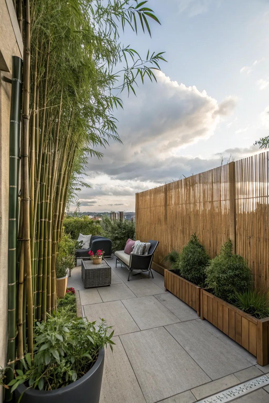 Transport yourself with cane fencing.