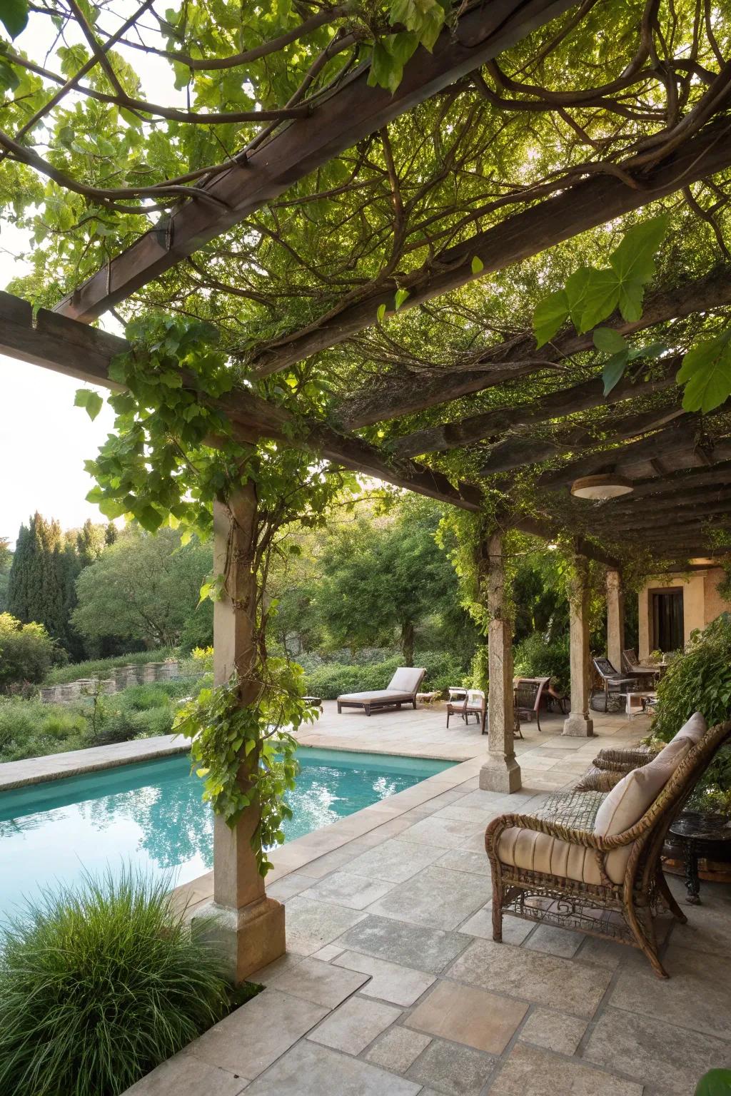 An arbor with vines adds shade and elegance to your patio.