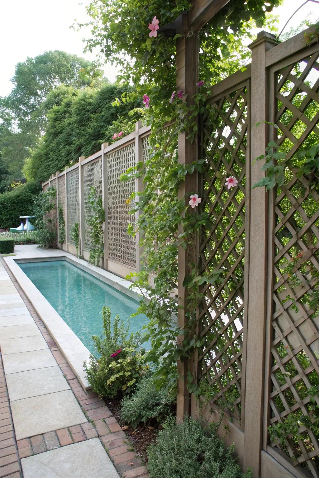 Netting panels bring ornamental privacy alongside a trace of nature.