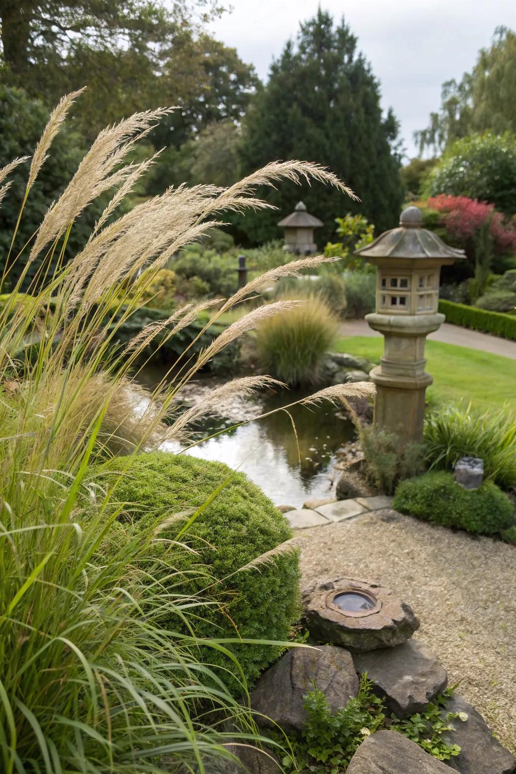 Decorative grasses adding movement and texture.