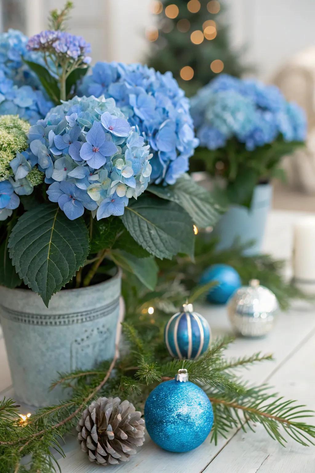 Festive accents amplify the joyful mood of blue hydrangeas.
