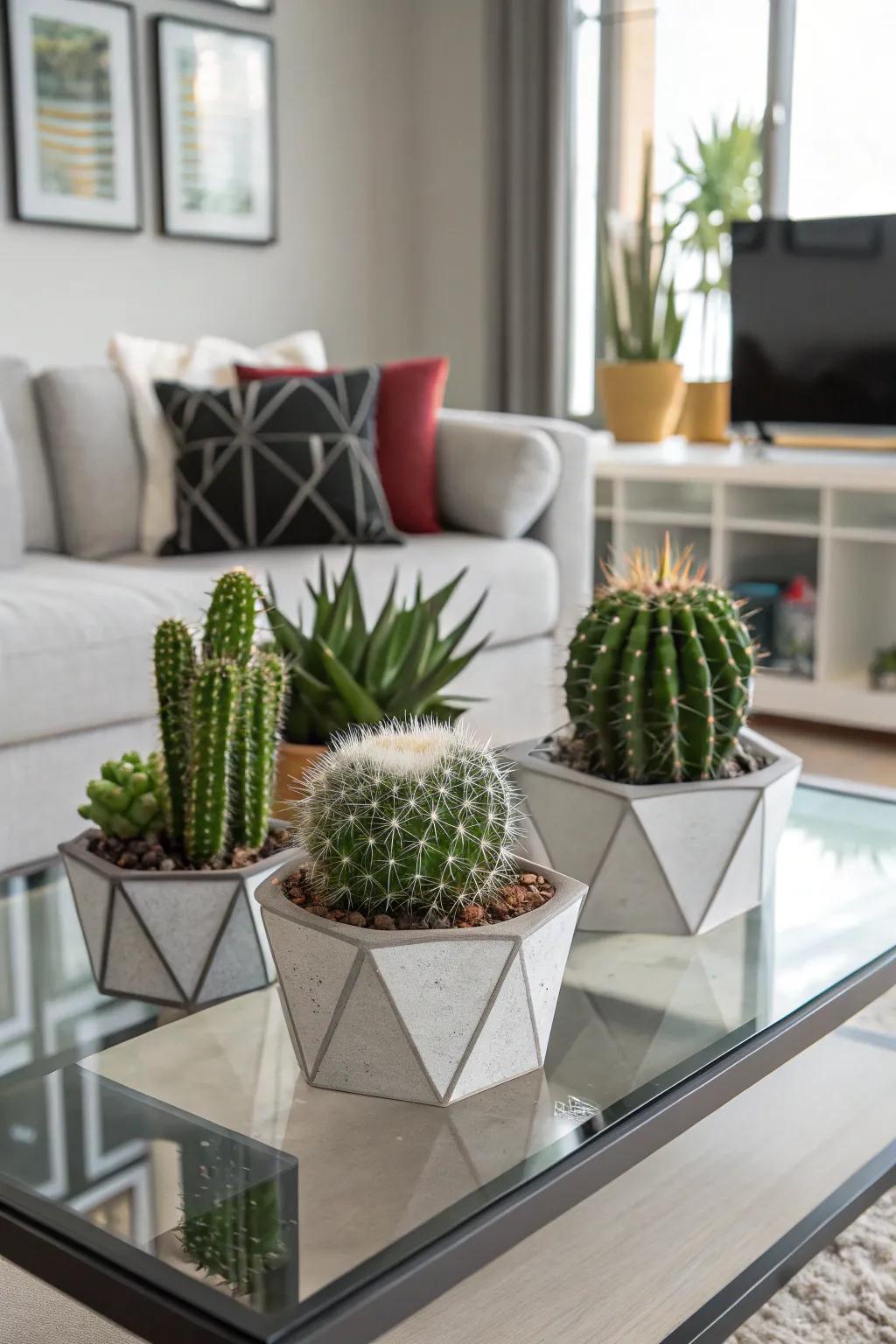 Angled planters offer a contemporary revision for your cactus arrangement.