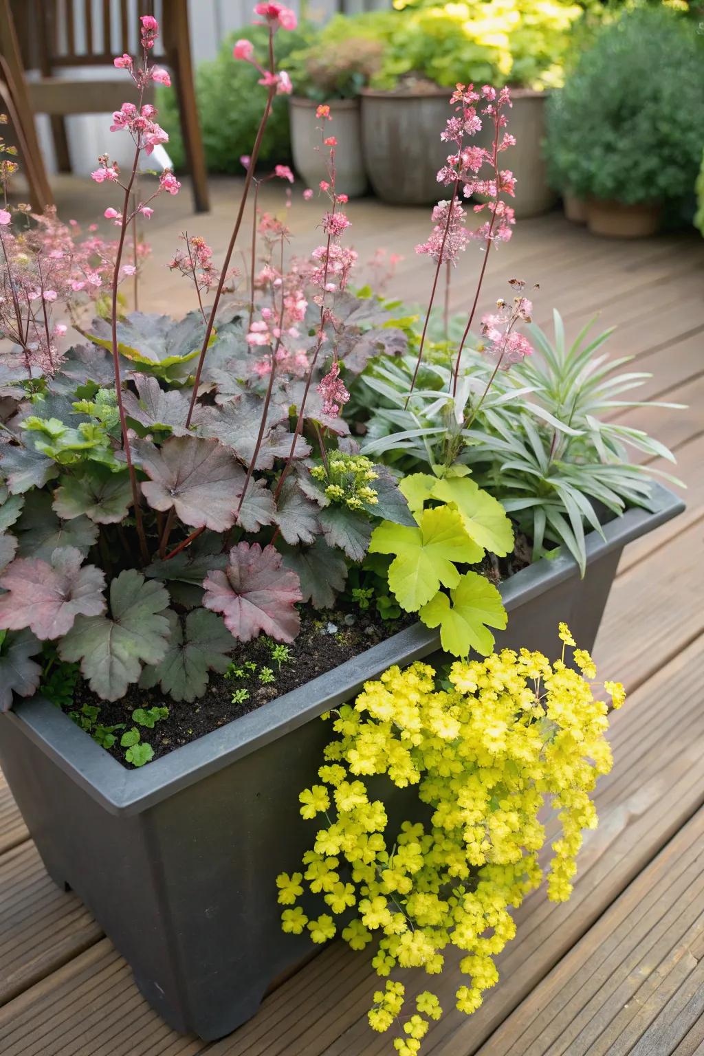 The pairing of huecheras and creeping jenny results in a quirky and appealing container garden.