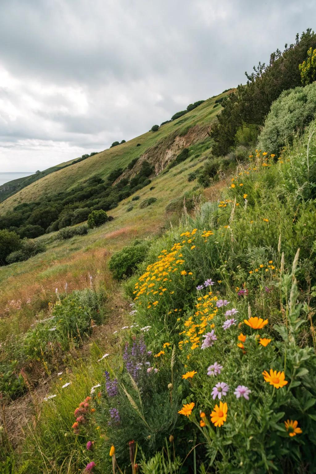 Local flora flourishes with little care and supports local wildlife.