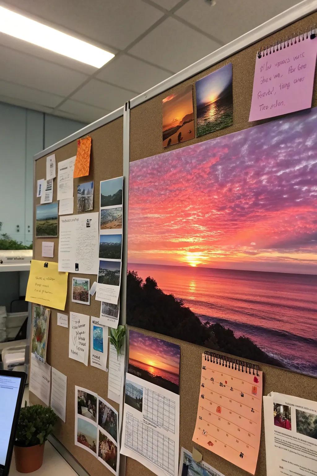 Capture the tranquility of a sunset through a board in calming hues.