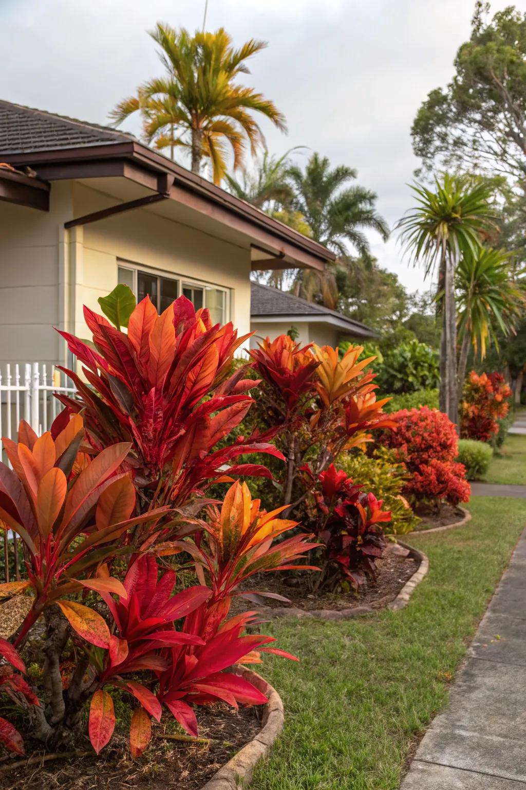 Bold plant pairings create striking visual interest.