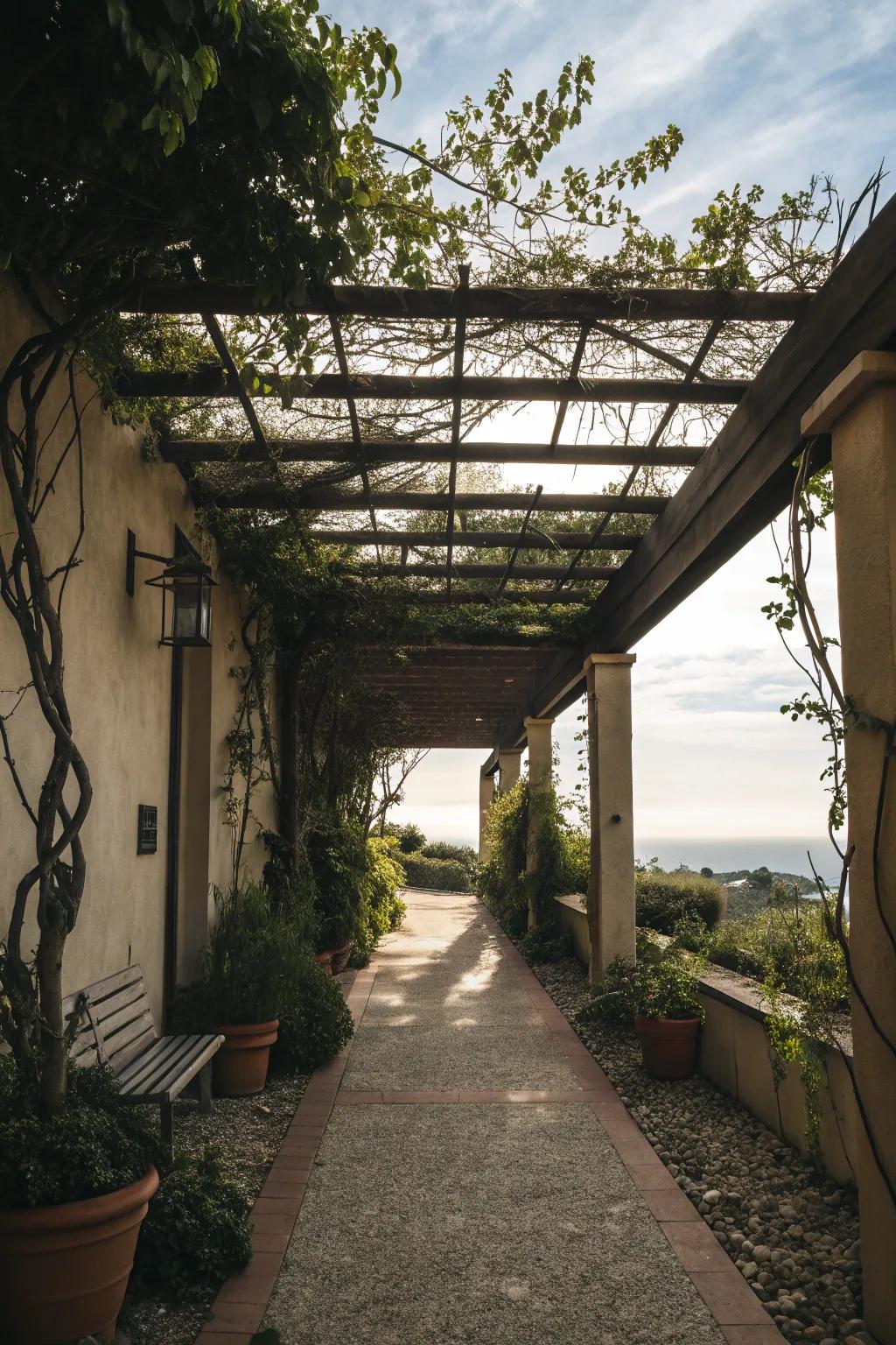An open-air pergola breezeway that elevates outdoor living with a hint of beauty.