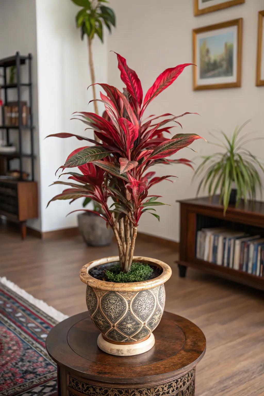 Incorporate bold, vibrant hues using a scarlet evergreen.