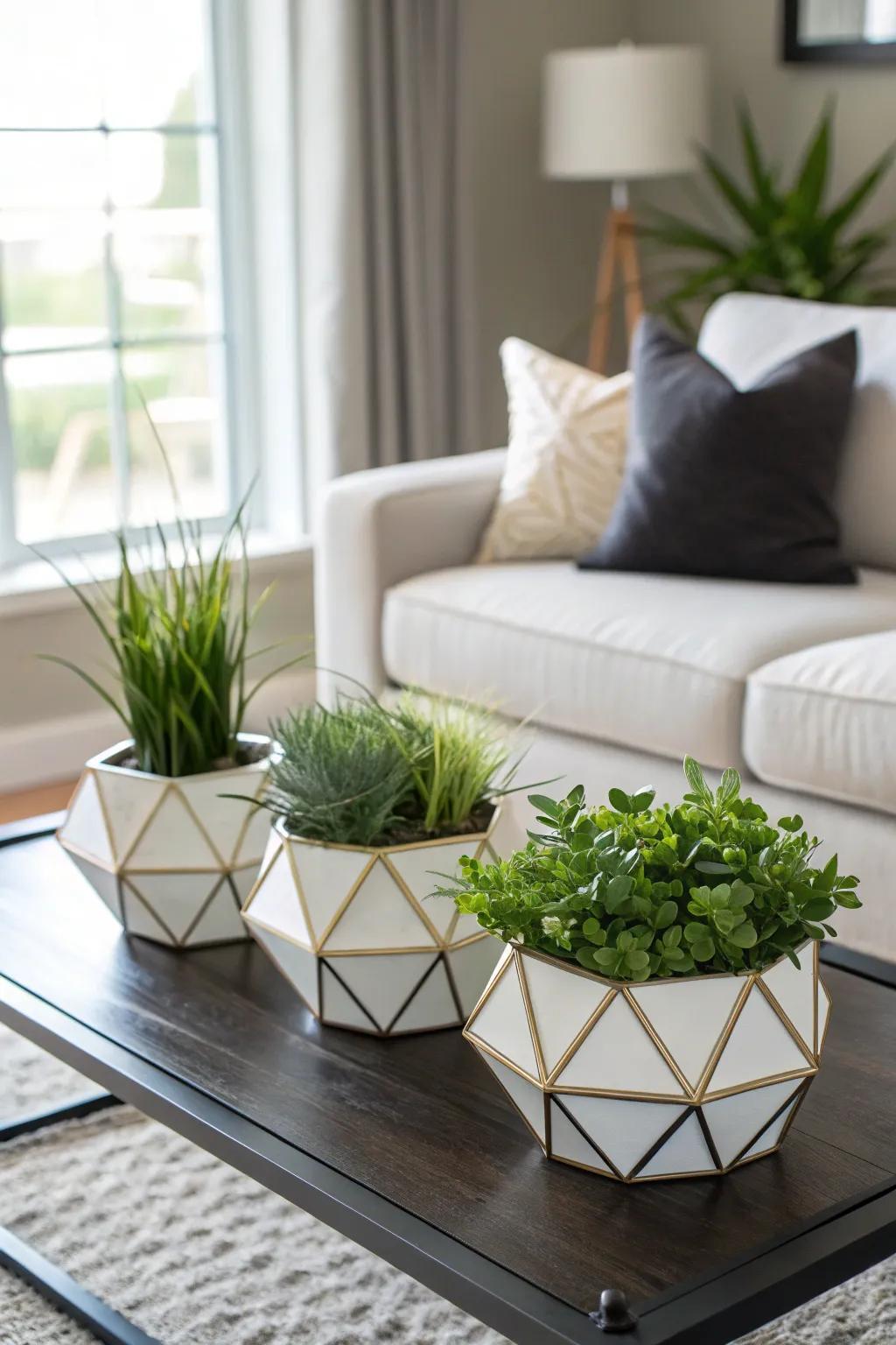 Patterned flower boxes inject a contemporary angle to plant displays.