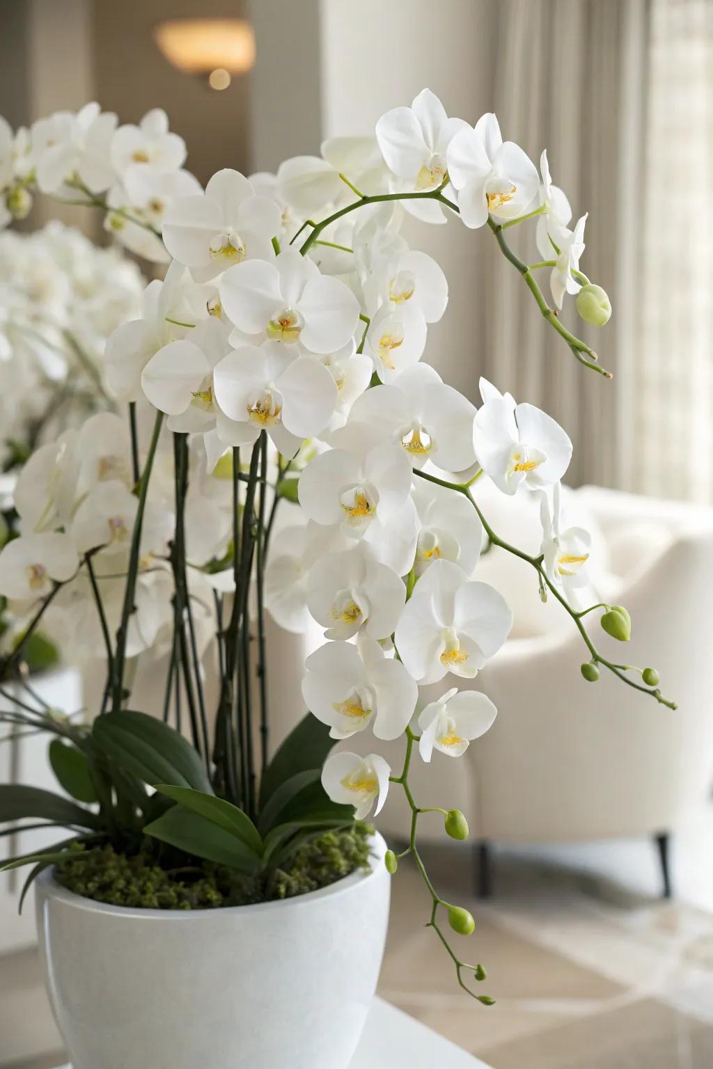 A luxurious bouquet featuring elegant orchids.