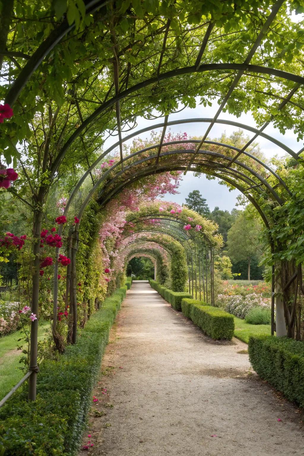 A tunnel of arches fashions a stunning and inviting garden pathway.