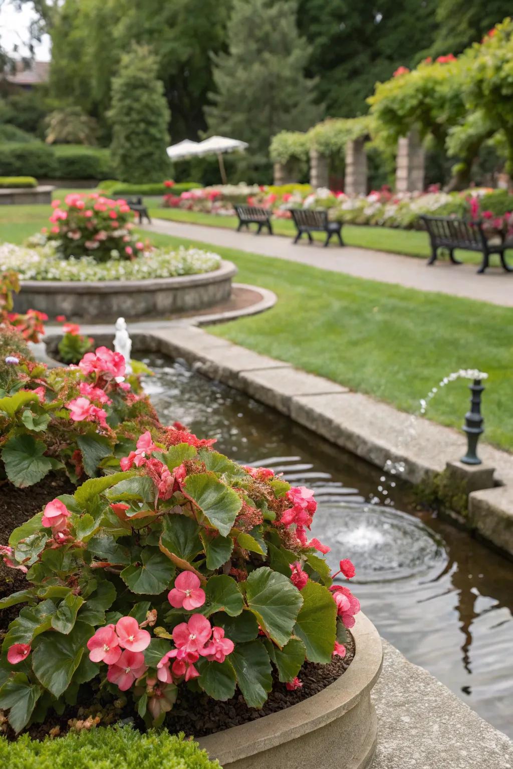 Plants add beauty and serenity near water features.