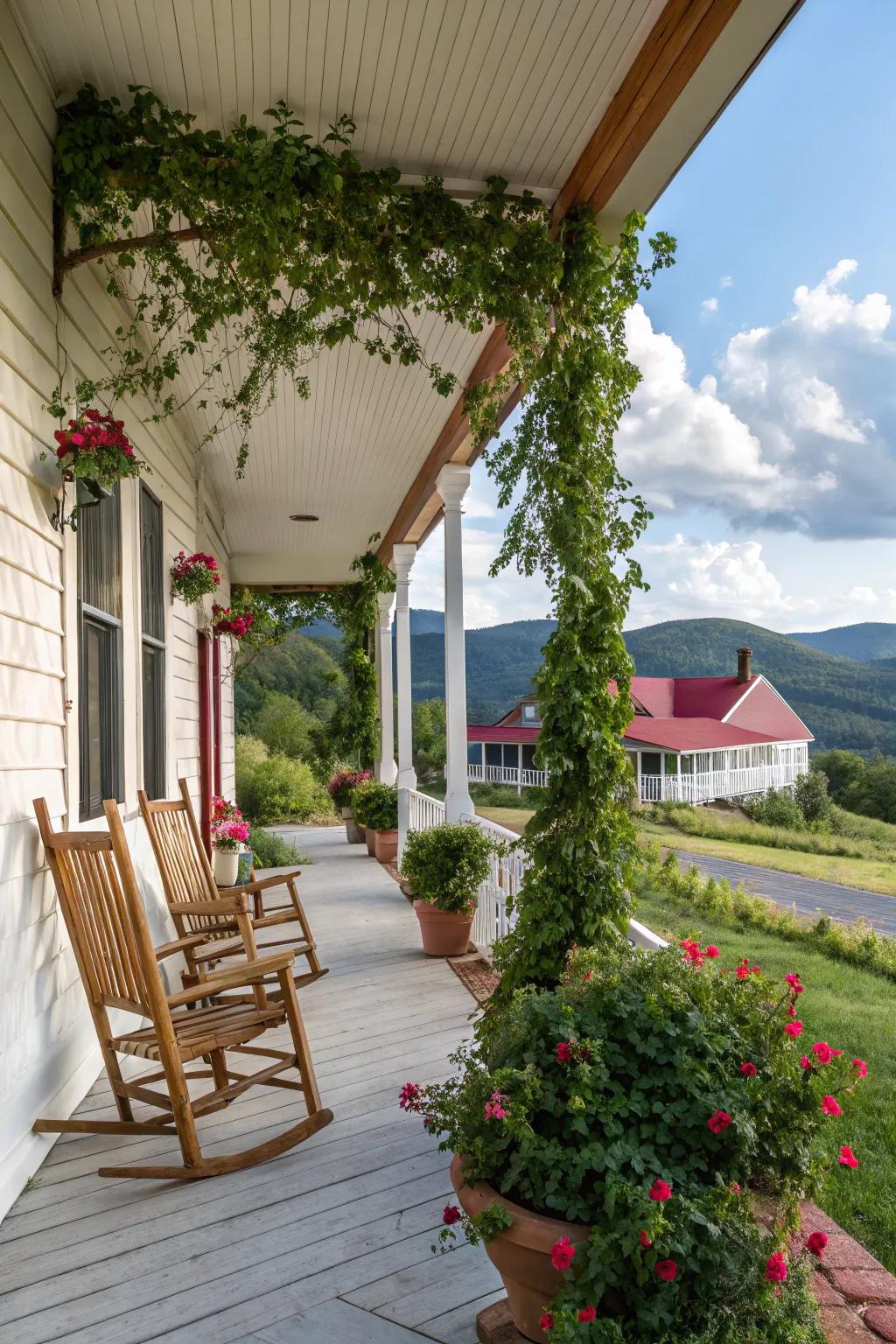 Lattice with climbing greenery offer both privacy and greenery.