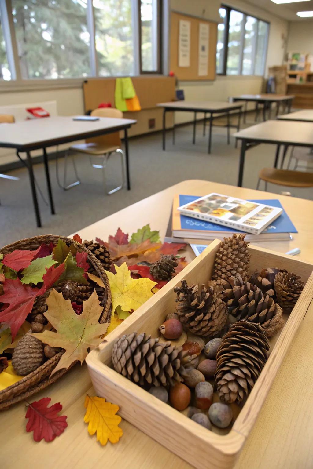 A tactile exploration of autumn surfaces.