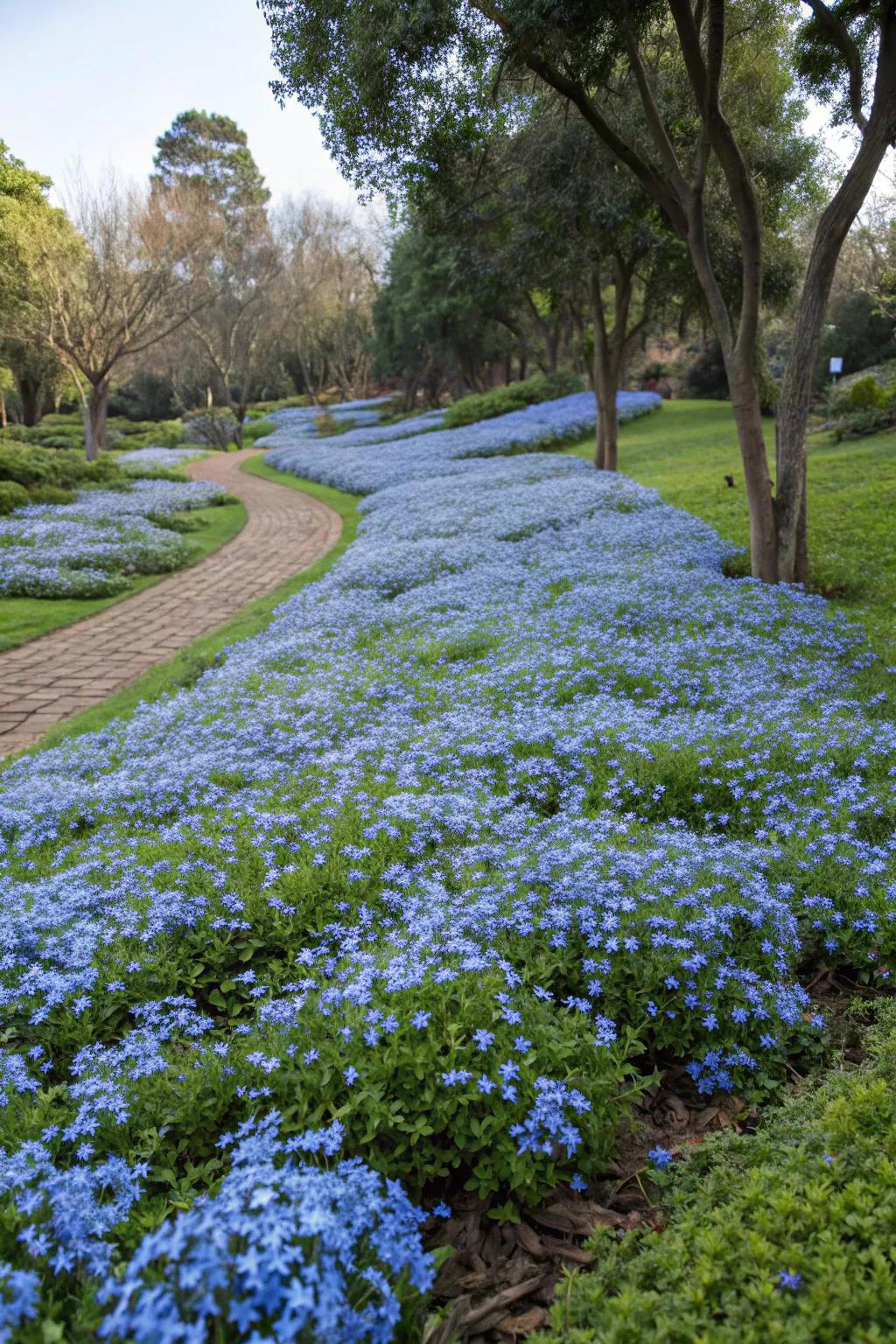 An extensive garden expanse enshrouded by cerulean blossom blooms functioning as surface shroud.