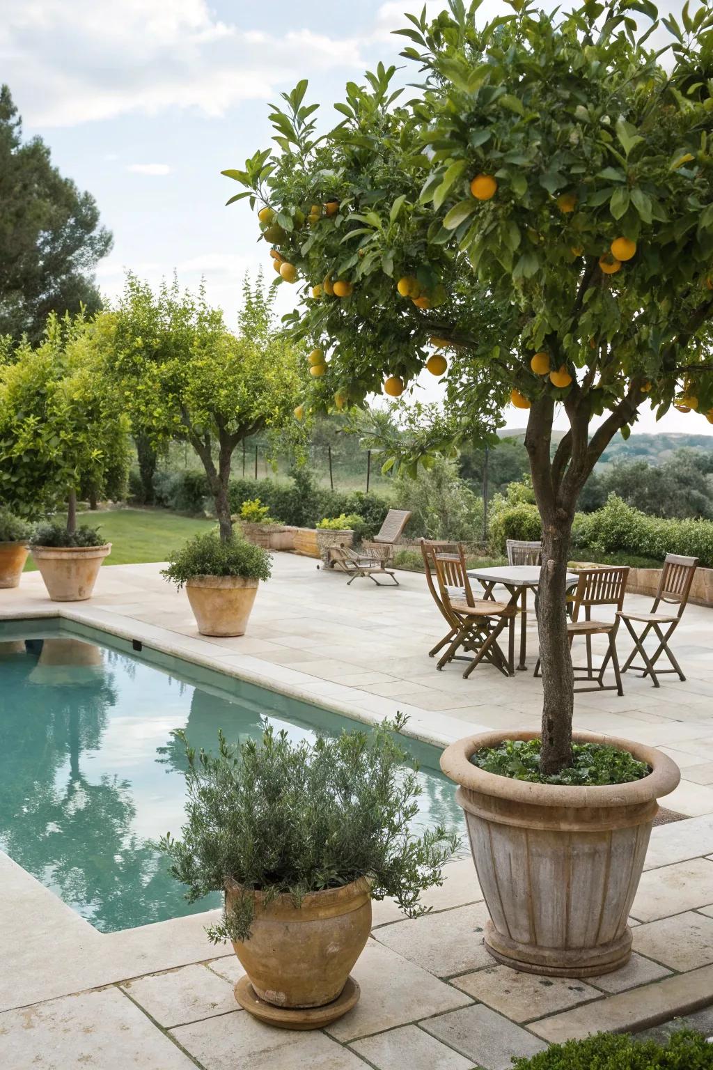 Add a refreshing touch with potted fruit-bearing trees by the pool.