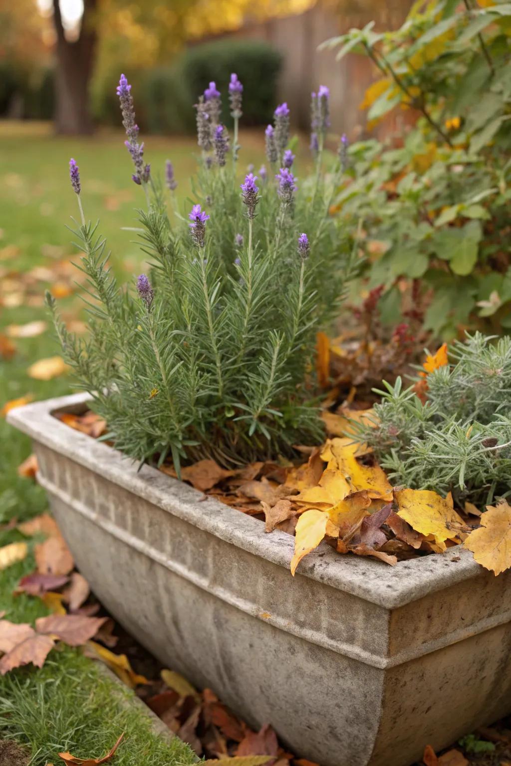 Fragrant plants create an inviting atmosphere.