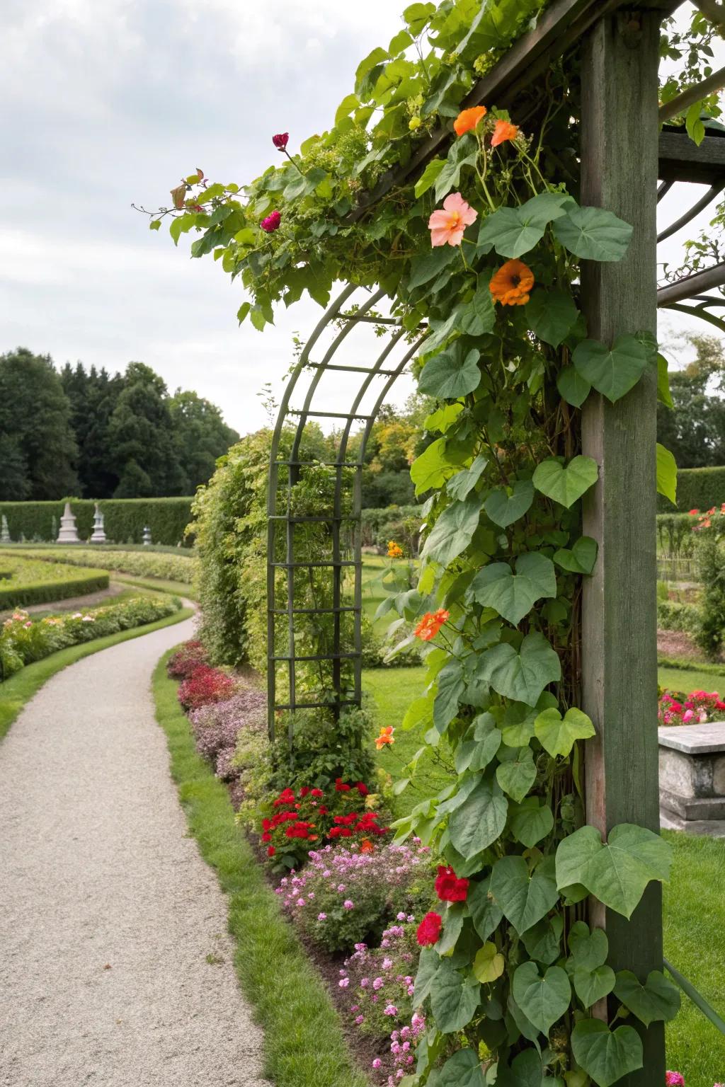 Ascending vines offer vertical interest and lushness to any garden.