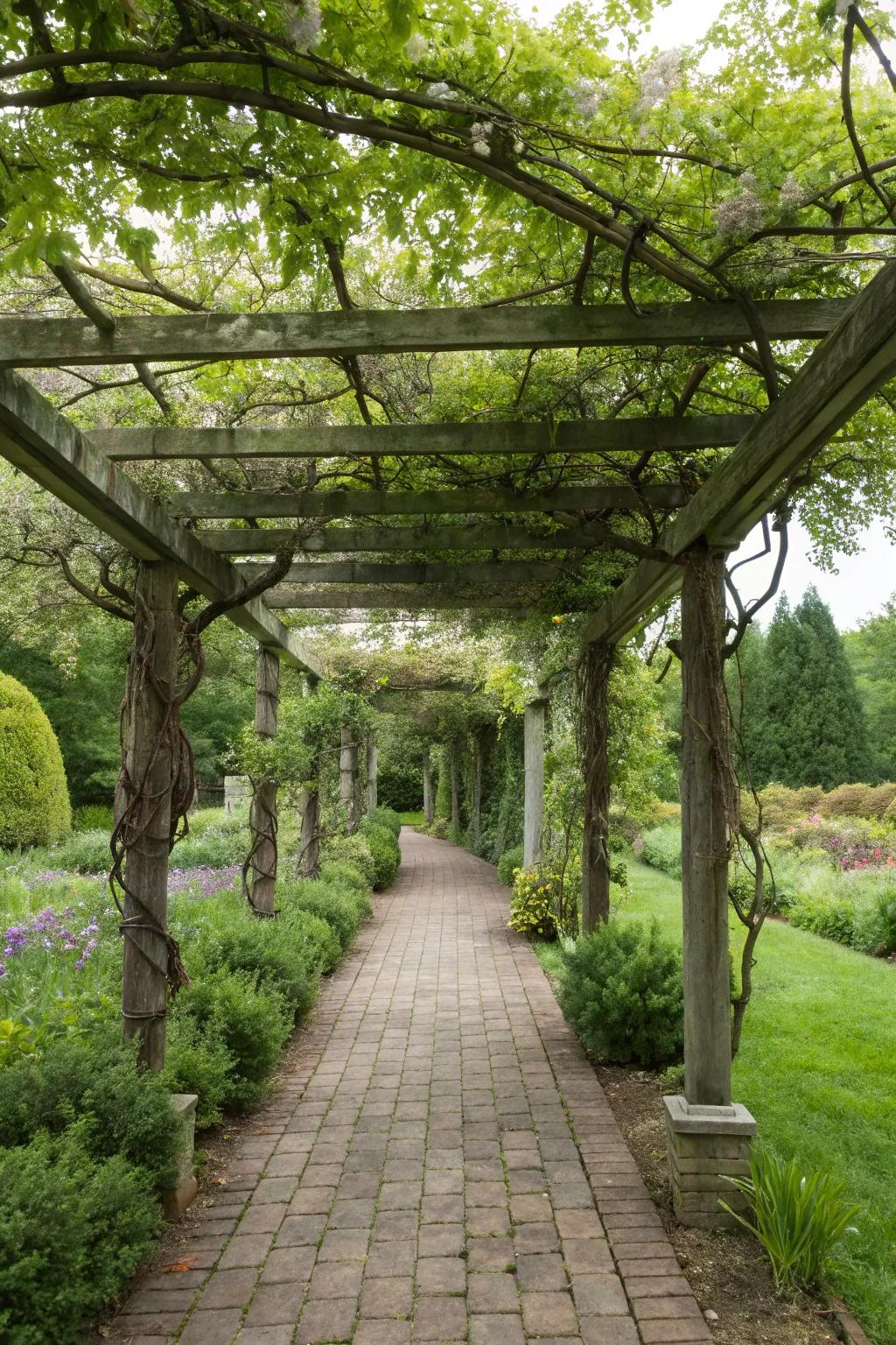 A suspended arbor blueprint fashions a bewitching, ethereal yard sensation.