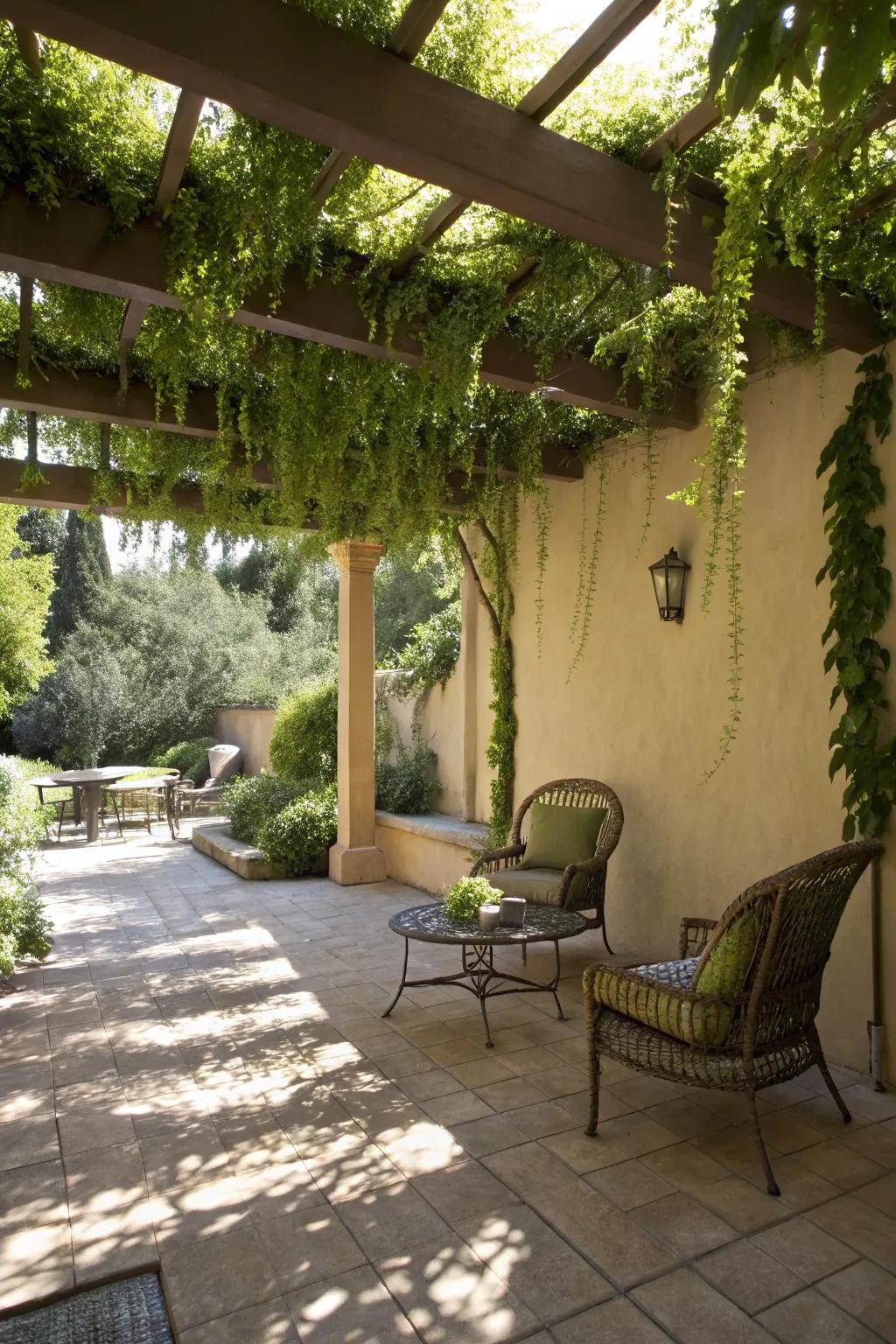 Hanging greenery adds beauty and pockets of shade to outdoor spaces.