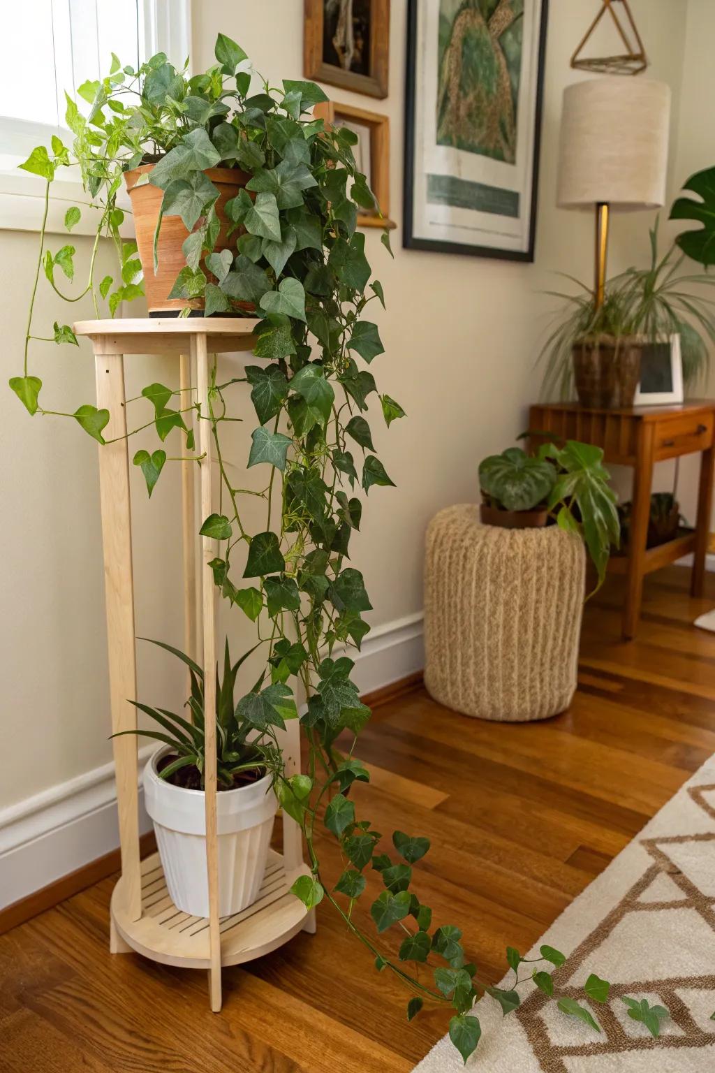 Utilize corners with dedicated botanical platforms.
