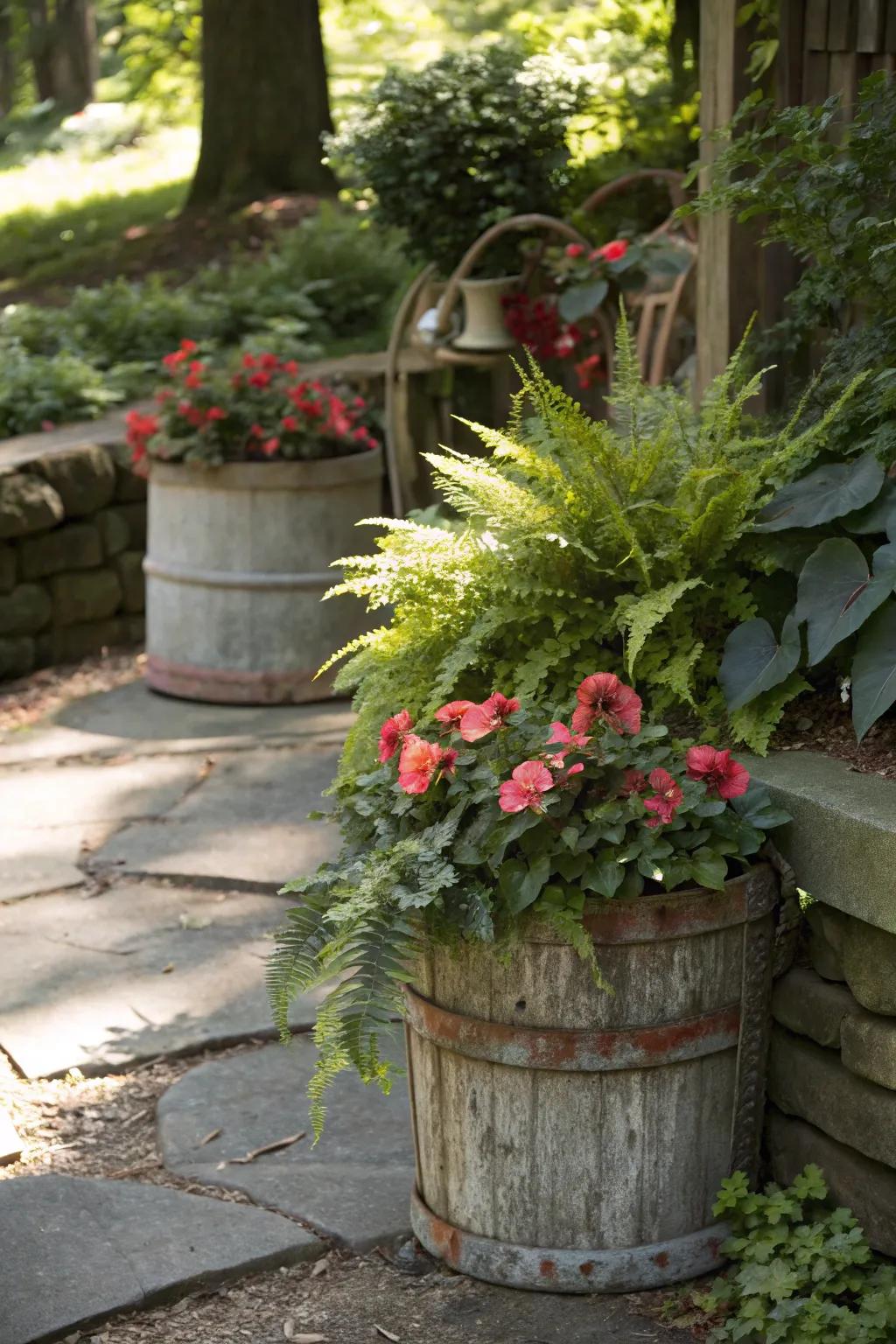 A shaded garden featuring vintage receptacles repurposed as planters brimming with ferns and begonias.