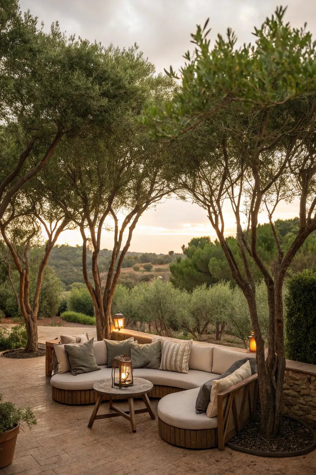 Savor seclusion with natural privacy nooks crafted by trees.