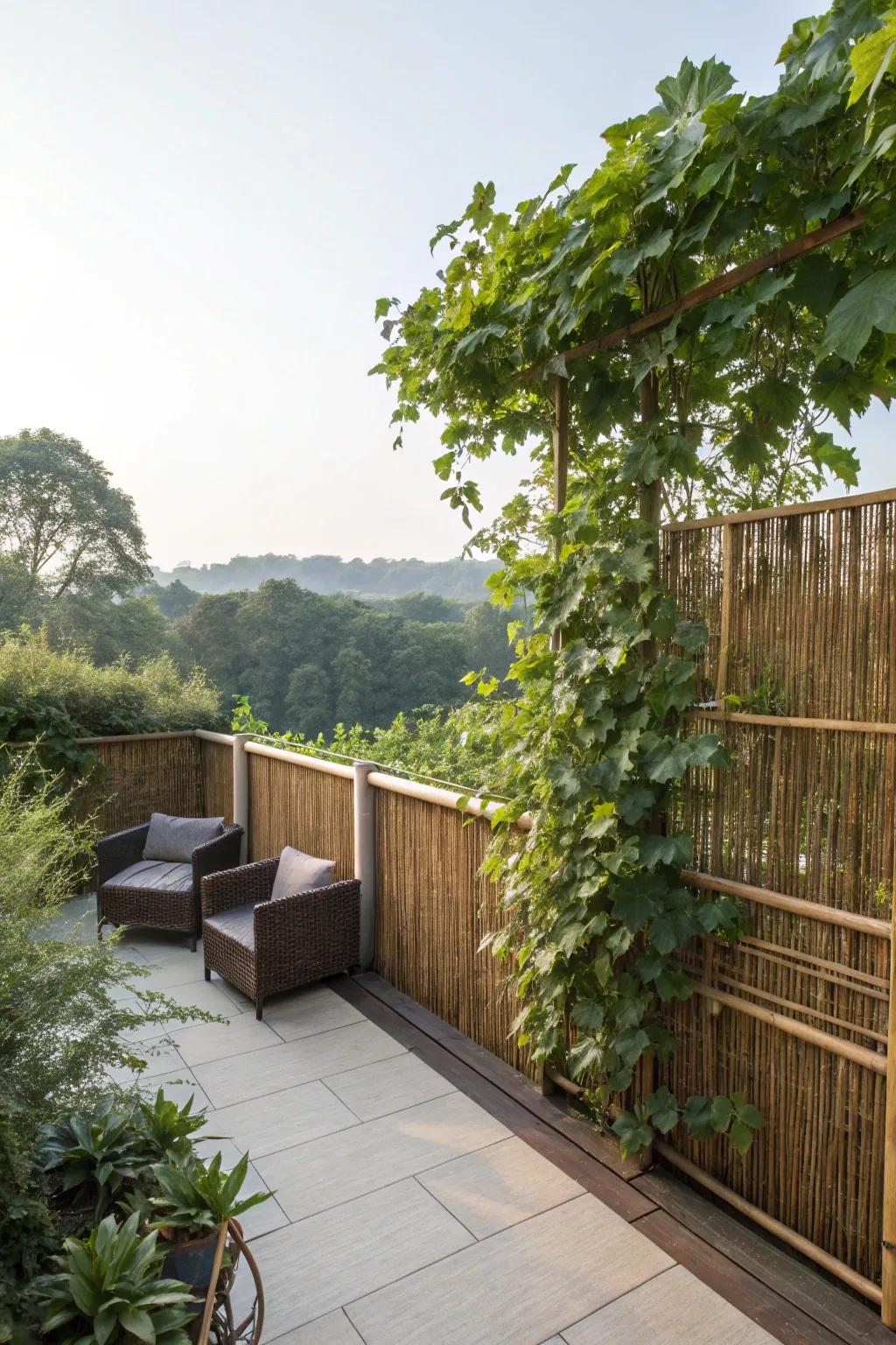 Natural privacy features offer seclusion and style.