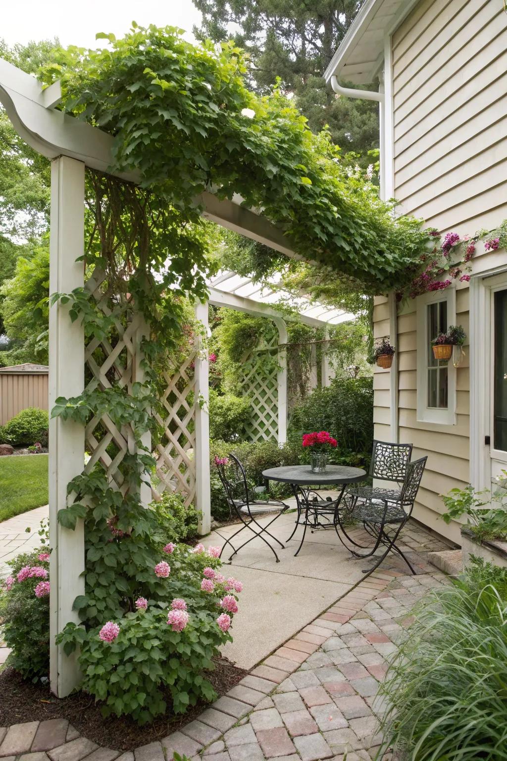 Privacy screens offer both seclusion and a hint of greenery.