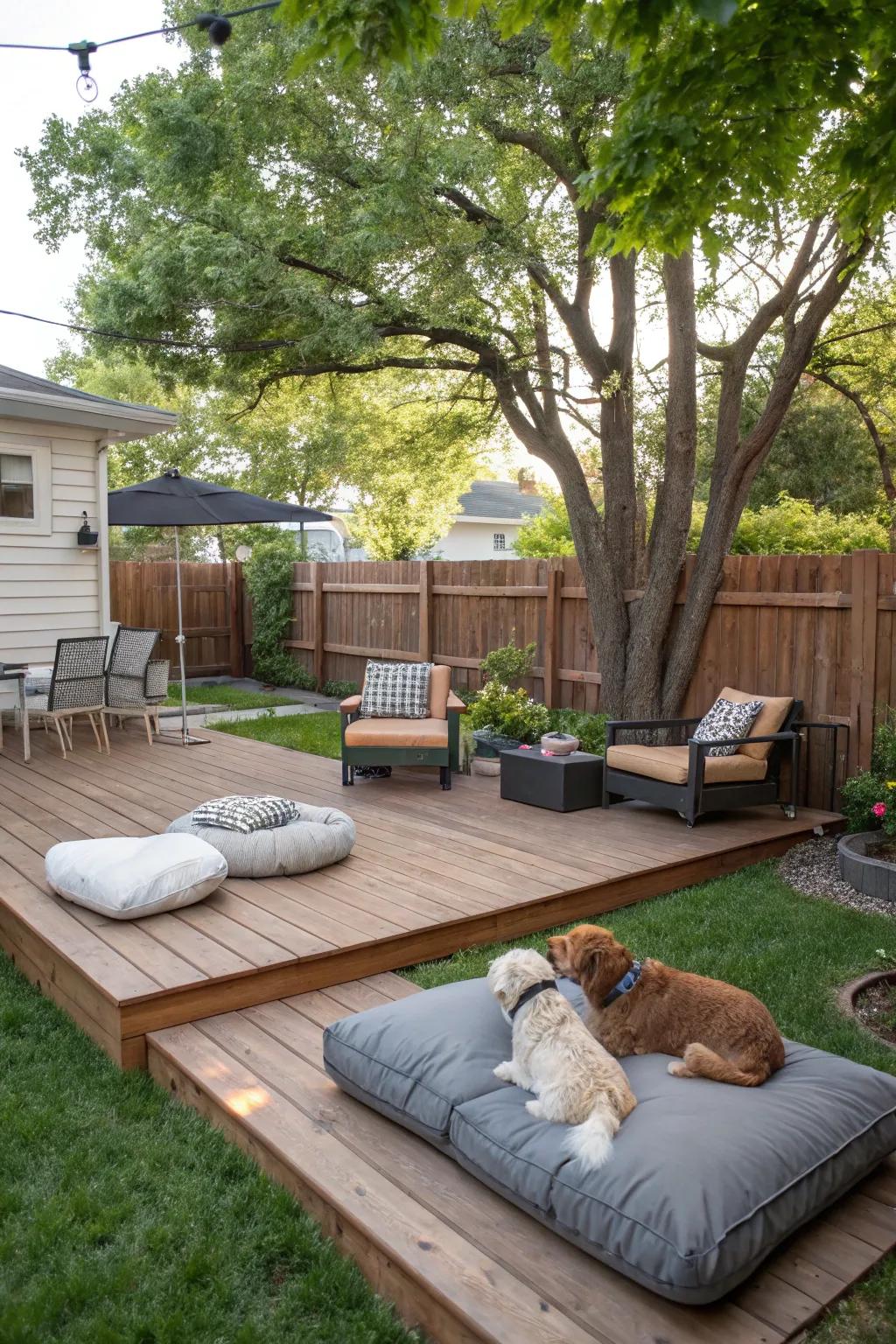 Relish quality time alongside your dog within a thoughtfully designed distributed sector.