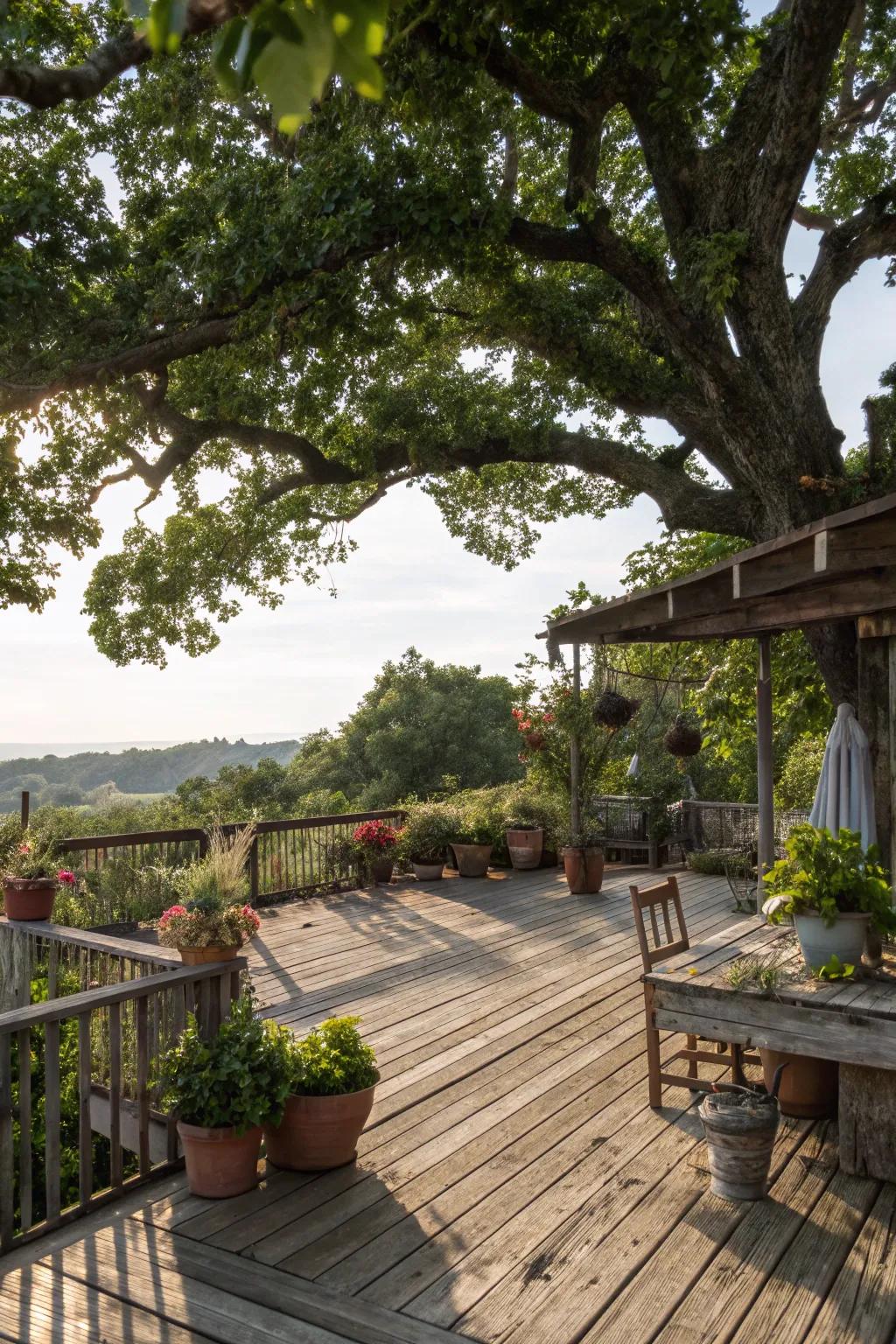 An arboreal awning furnishes shade and a genuine backdrop to this patio.