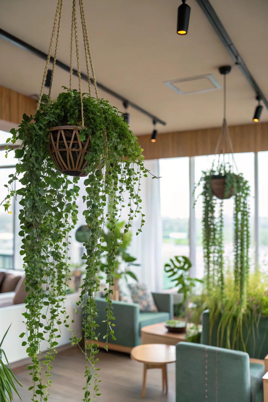 A setting showcased with copious suspended flora, incorporating vibrancy and animation.