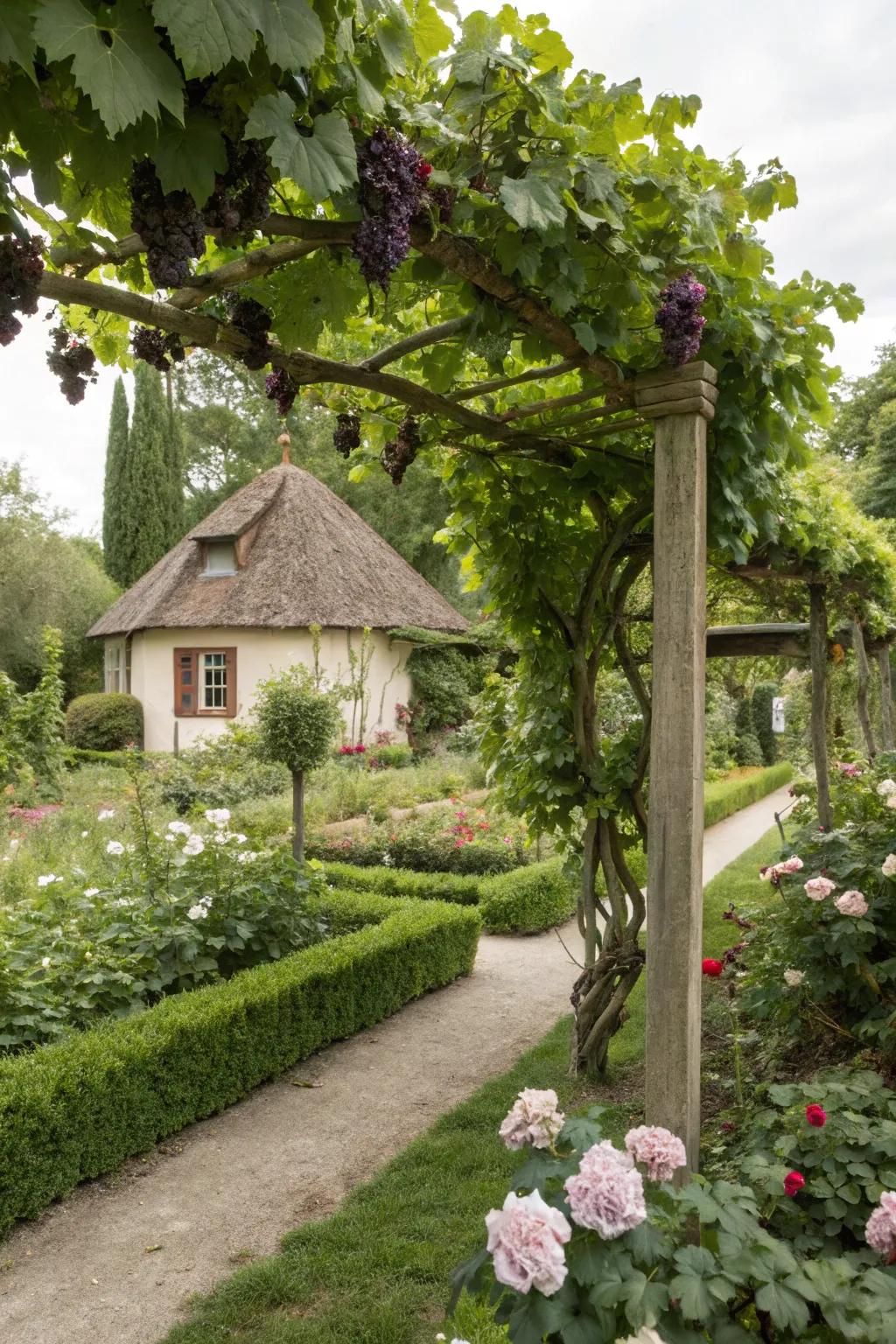 Country-style trellises evoke a timeless, vintage charm.